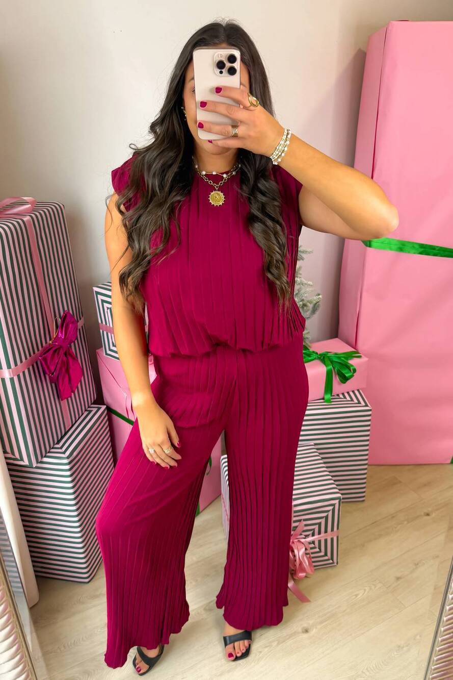 NEW WISHLIST festive affair pleated pants in wine